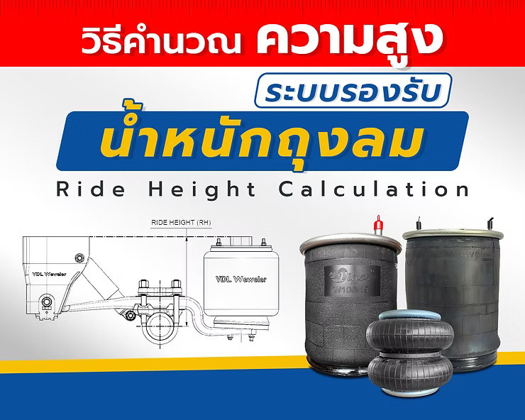 wellinterparts