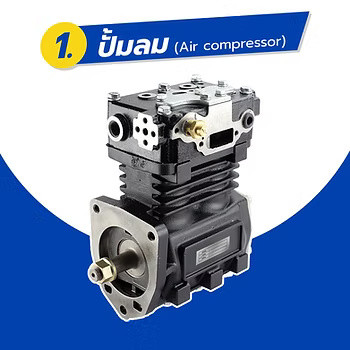 wellinterparts