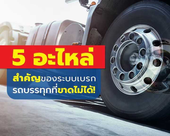 wellinterparts