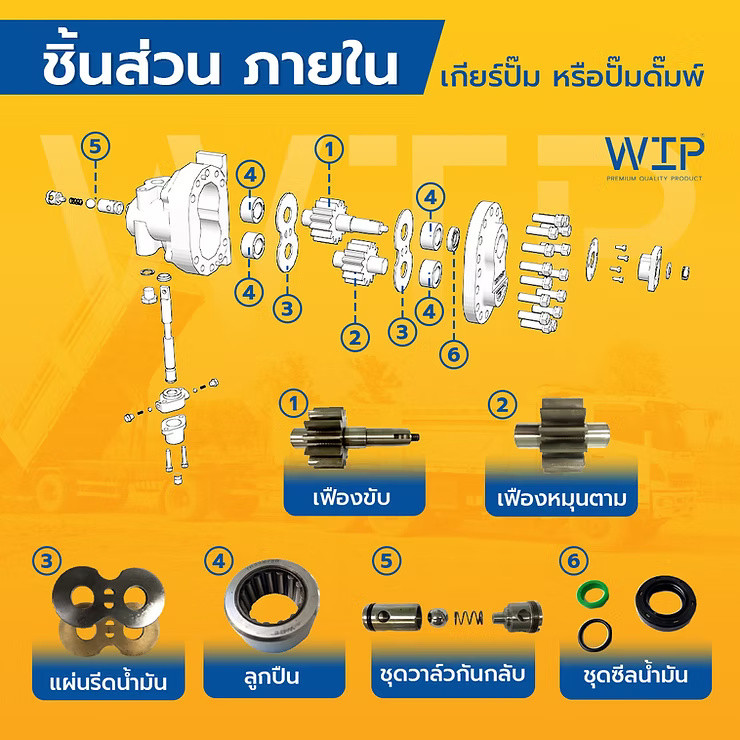 wellinterparts