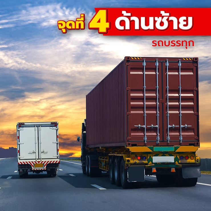 wellinterparts