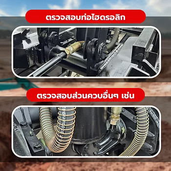 wellinterparts