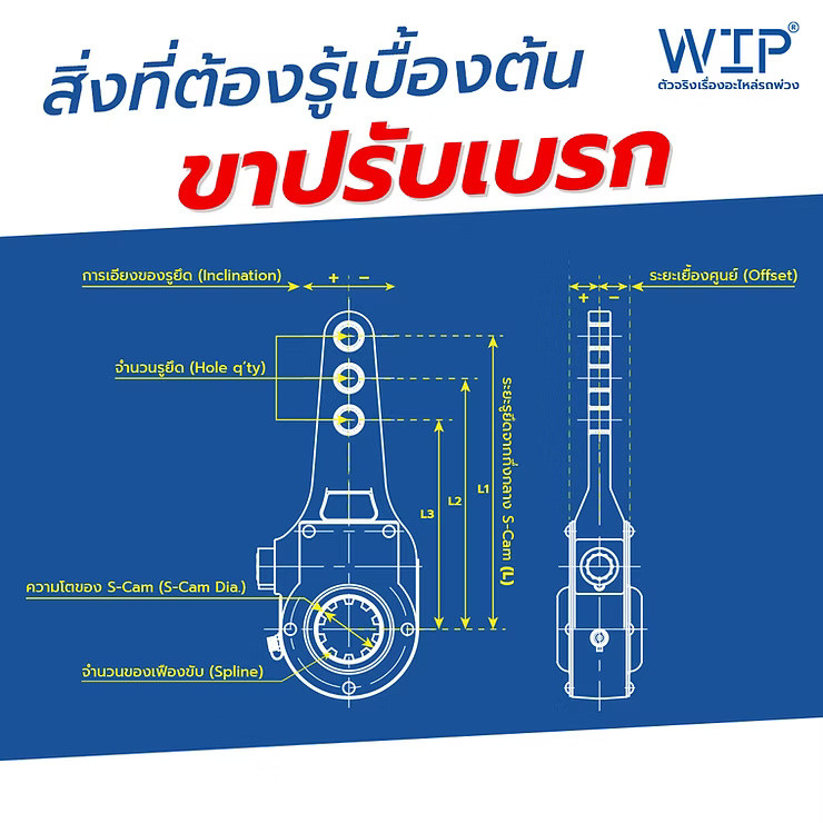 wellinterparts