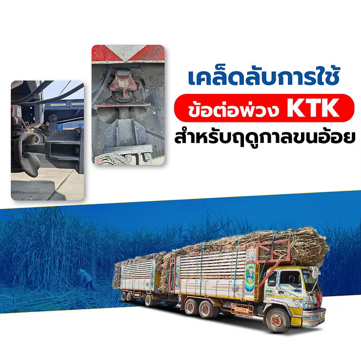 wellinterparts