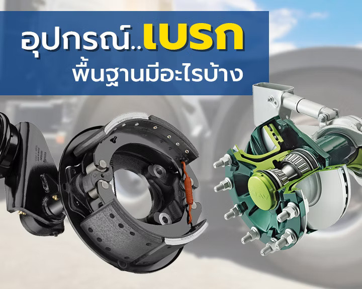 wellinterparts