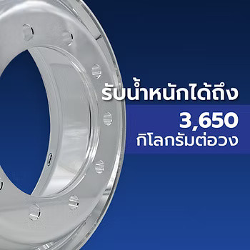 wellinterparts