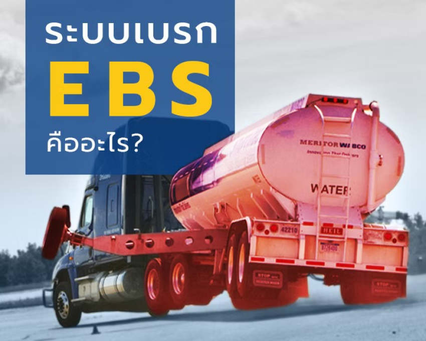 wellinterparts