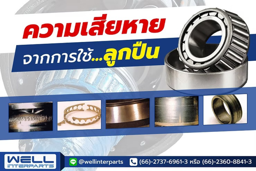 wellinterparts