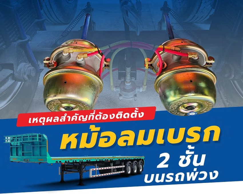 wellinterparts