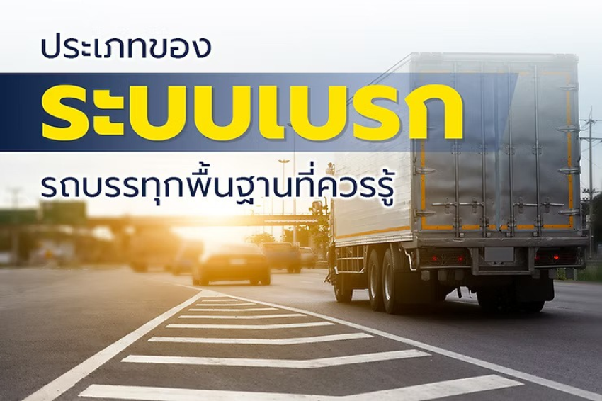 wellinterparts