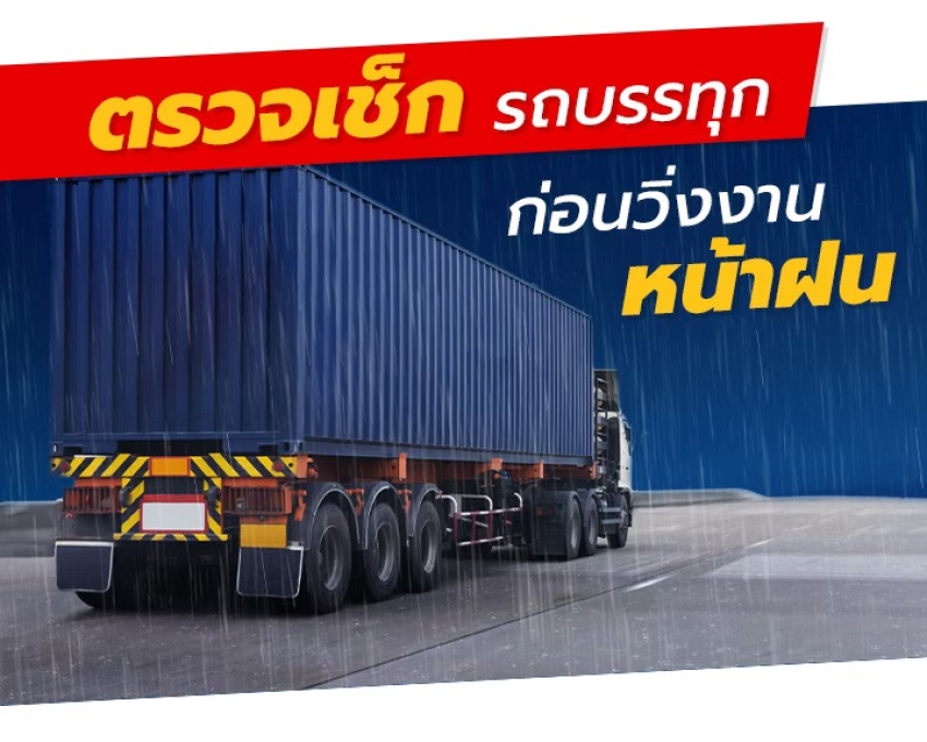 wellinterparts
