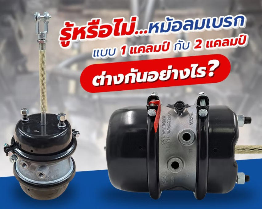wellinterparts