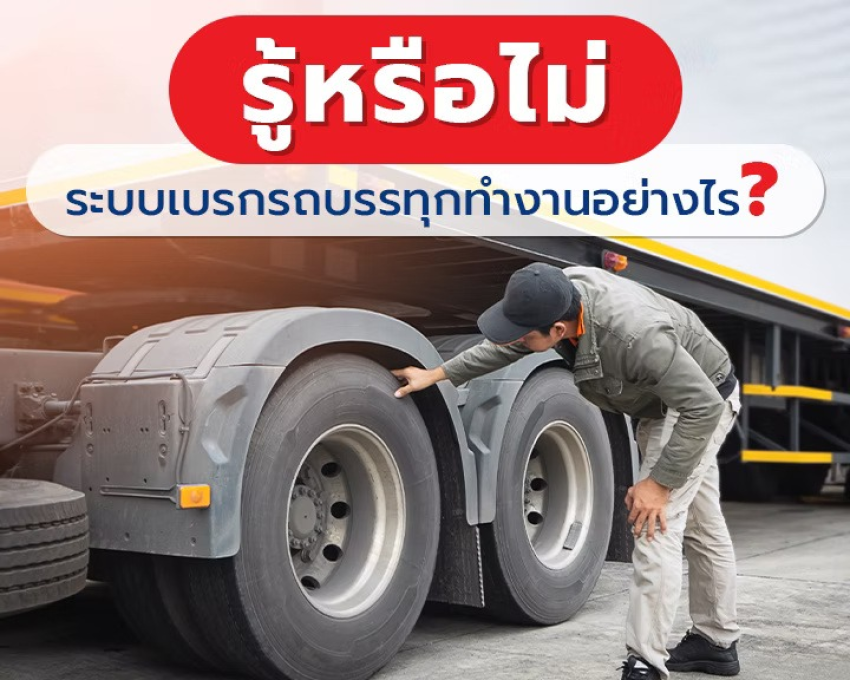 wellinterparts
