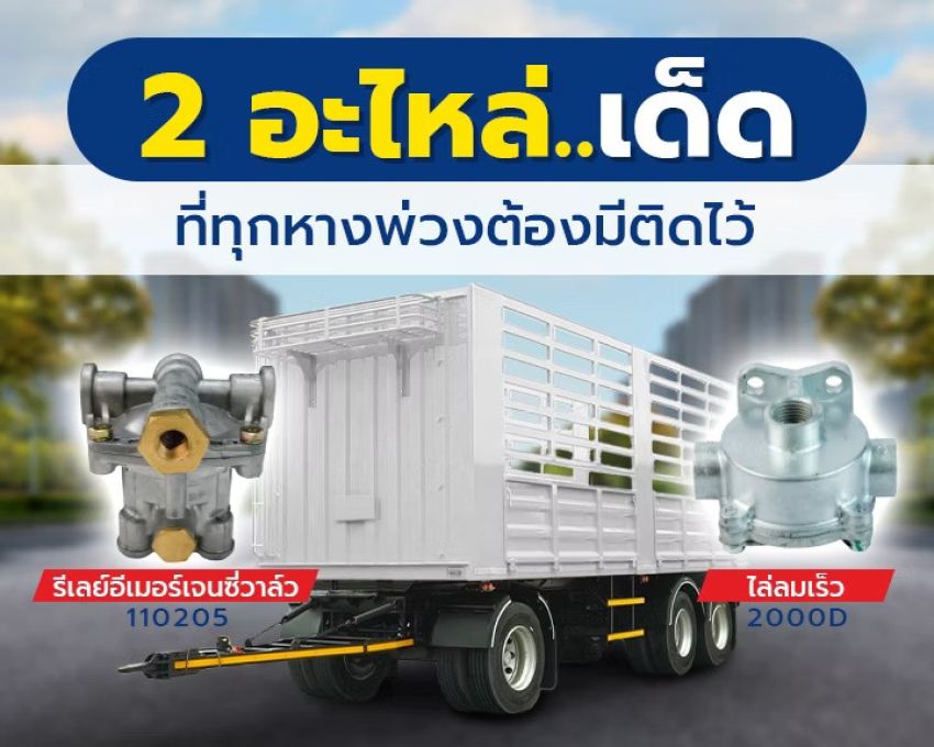 wellinterparts