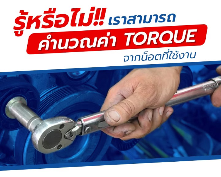wellinterparts