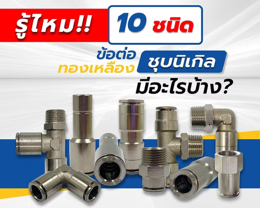 wellinterparts
